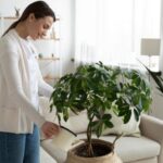 El significado de soñar con plantas verdes y su importancia