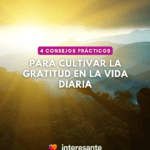 Gratitud: El camino para cultivar el amor en tu vida