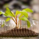 Reutilización de materiales para conservar recursos naturales