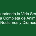 Adaptaciones visuales de reptiles diurnos y nocturnos