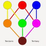 Aprende sobre los colores primarios y cómo combinarlos