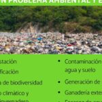 Causas del conflicto medioambiental: descubre por qué se enfrentan