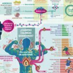 Descubre los roles clave de la nutrición deportiva en el metabolismo