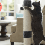 El mejor rascador de gatos: ¡diversión y bienestar garantizados!