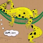 Impacto de la disponibilidad de alimento en la camada de reptiles