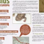 Infecciones en reptiles: ¿Cómo afectan a sus poblaciones?